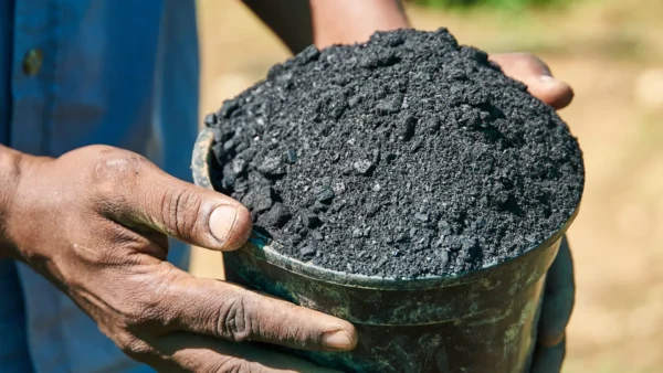 Biochar